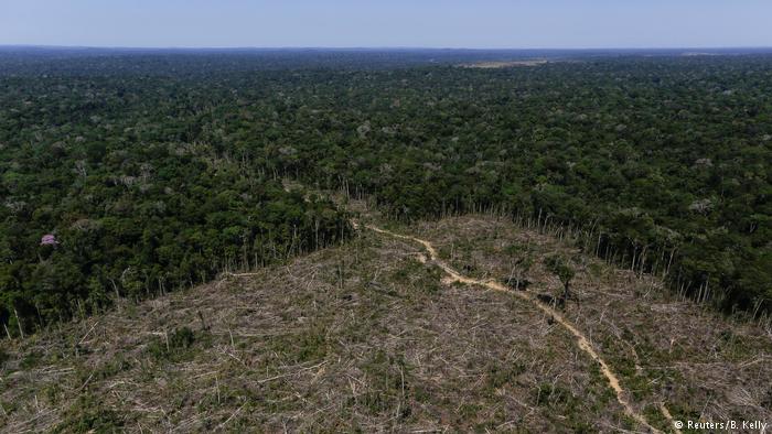 Deforestacion _20170908