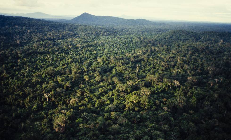 Fondo Verde otorga 28 millones a Colombia para combatir la deforestación en la Amazonía 