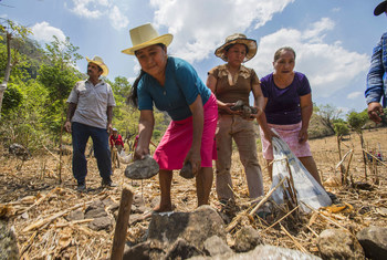 El clima y el COVID-19 cuadriplican el número de centroamericanos que pasan hambre 