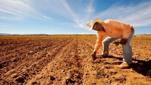  Reportan que 80% del territorio mexicano sufre sequía
