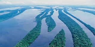  Lanza gobierno brasileño programa para revitalización de cuencas hidrográficas