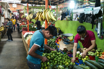 América Latina y el Caribe es clave para alimentar a 10.000 millones de personas en 2050