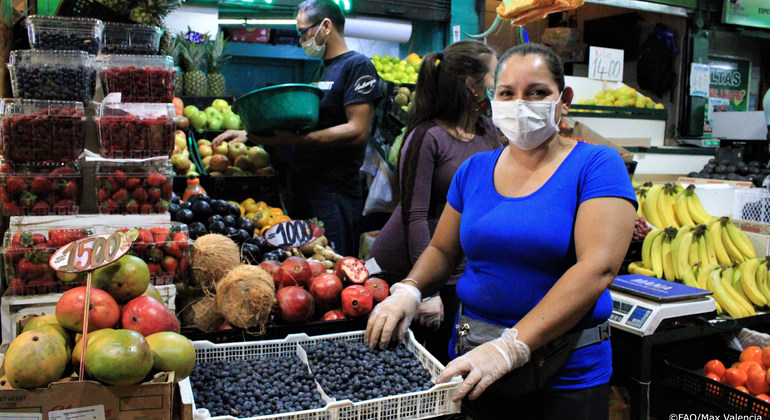 Pequeños productores de América Latina, oportunidad de seguridad alimentaria mundial: entrevista