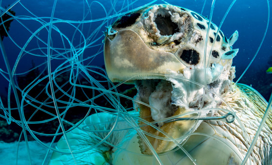 Cómo la “pesca fantasma” esquilma silenciosamente nuestros océanos
