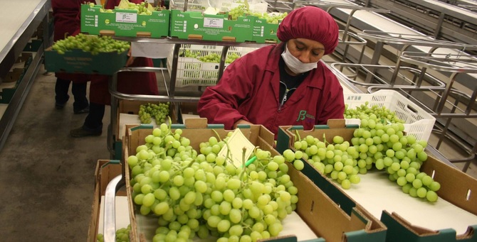 Perú: Agroexportaciones a UE y el Reino Unido crecen 24.3% en primeros 4 meses 2021