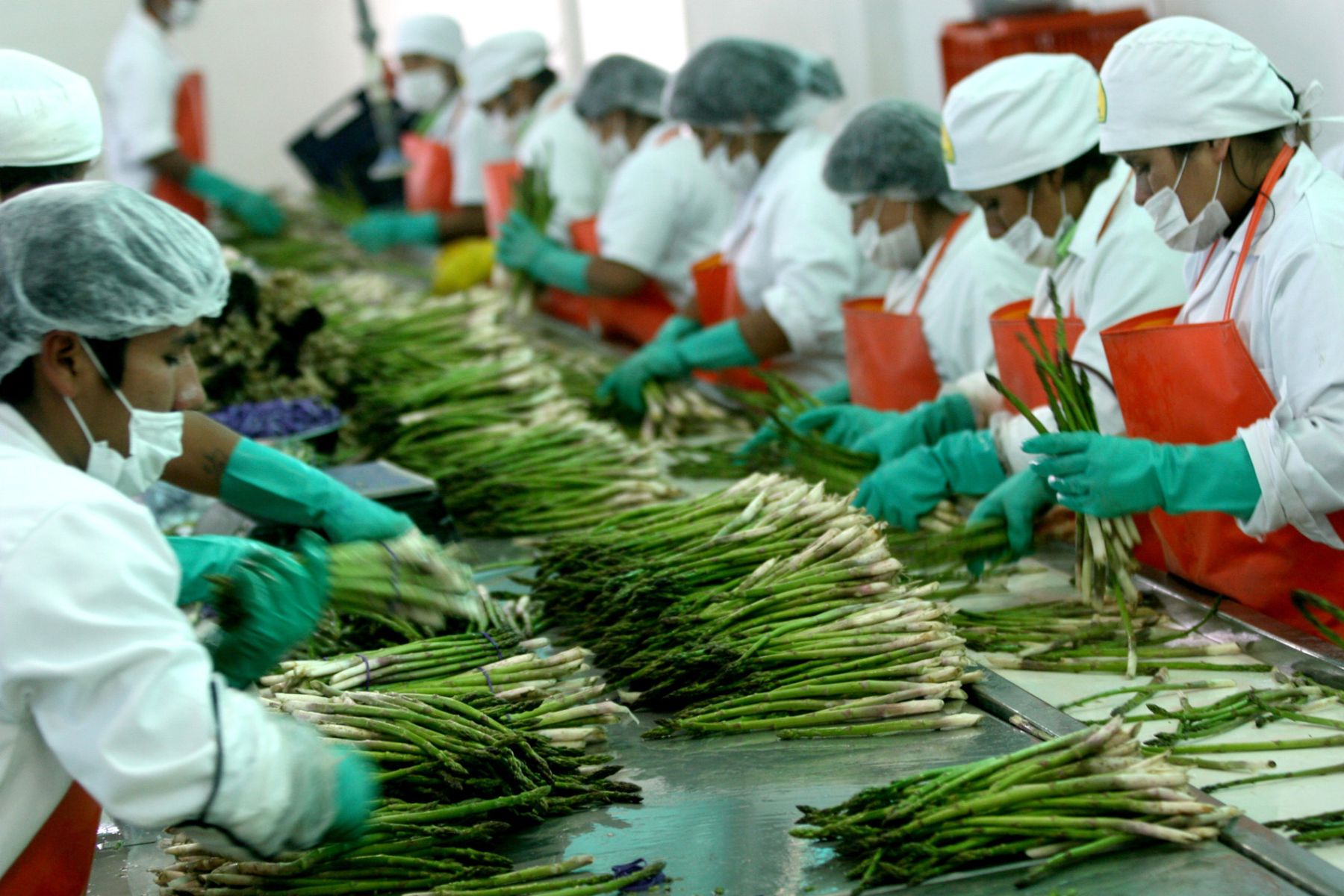 Exportaciones peruanas generaron 1.24 millones de puestos de trabajo 