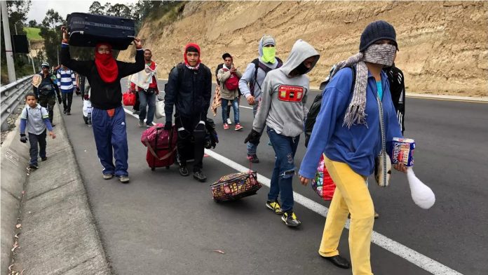 Estudio advierte peligro para migrantes en Ecuador si regresan a sus países