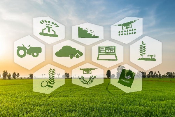 IICA lanza convocatoria a startups con soluciones digitales para la agricultura