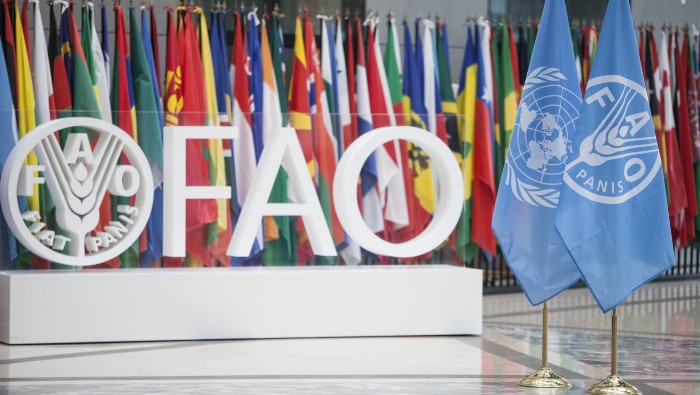 América Latina y el Caribe celebrará la 37 Conferencia Regional de la FAO el próximo 28 de marzo
