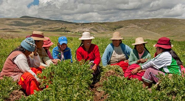 FAO busca transformar los sistemas agroalimentarios en Latinoamérica y Caribe 