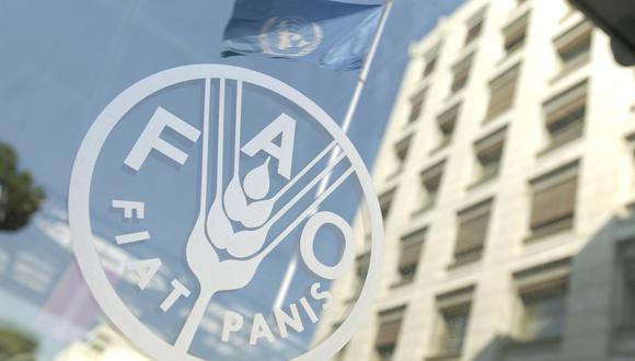 FAO teme que se agrave la crisis agroalimentaria en 2023