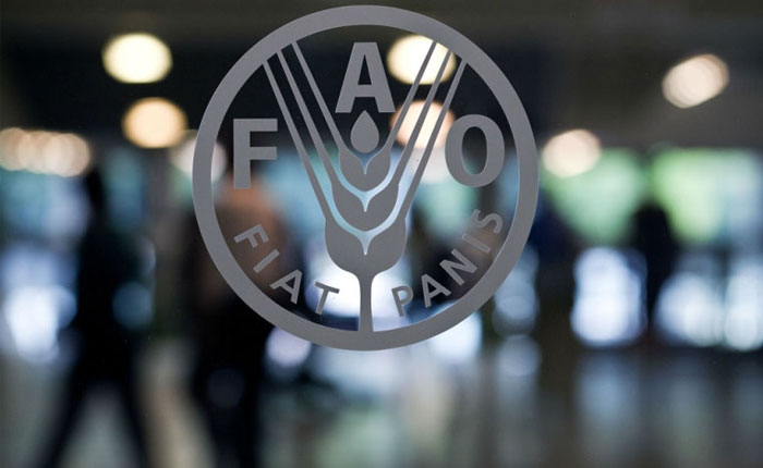 FAO acoge en Chile el X Foro del Frente Parlamentario contra el Hambre de Latinoamérica
