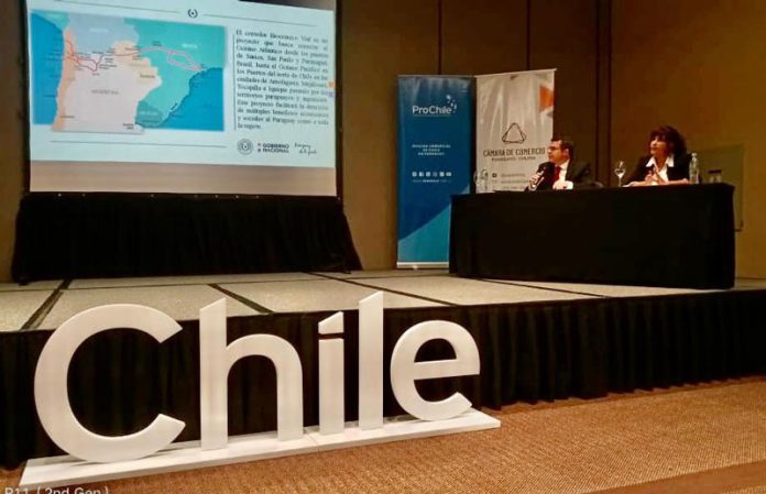 Chile y Paraguay destacan complementariedad de sus economías para fortalecer vínculos