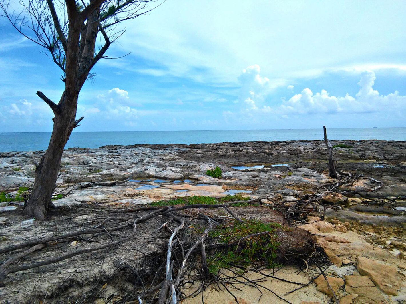 Centroamérica y el Caribe piden apoyo internacional para abordar el cambio climático