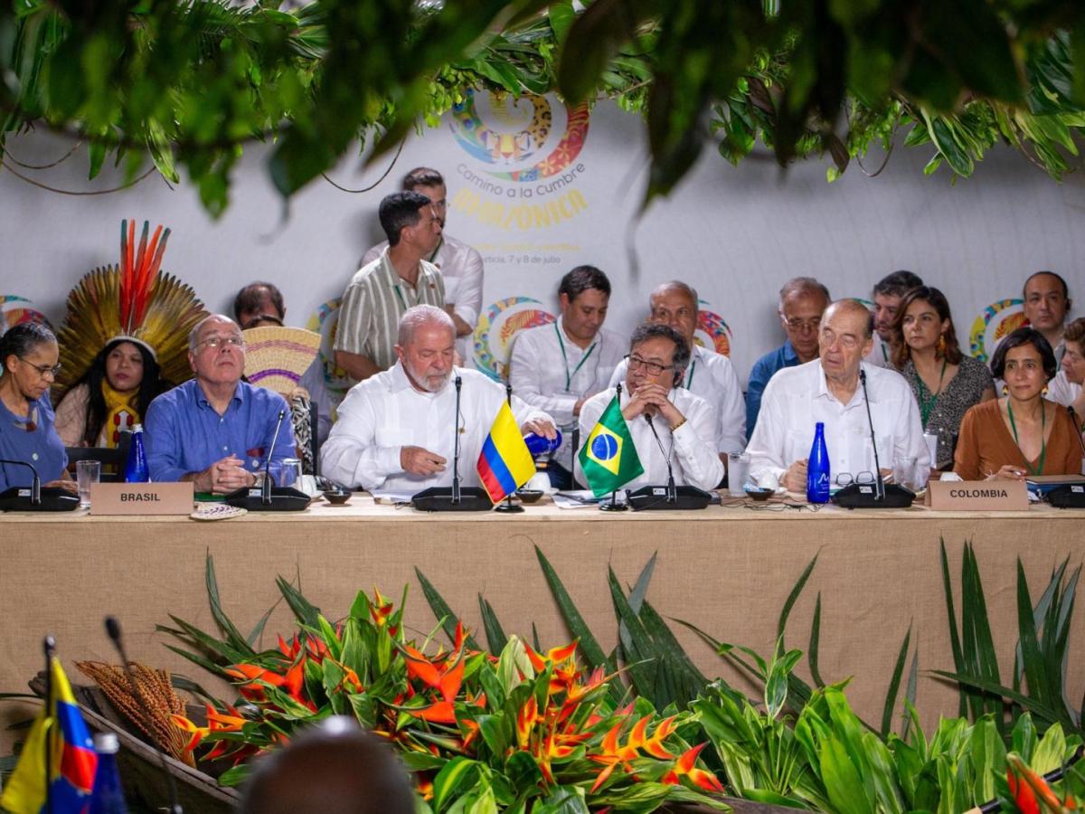 Cumbre en Brasil busca hoja de ruta para salvar la Amazonía