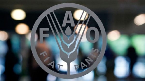 FAO lanza un plan preventivo de respuesta al fenómeno de "El Niño" en América Latina