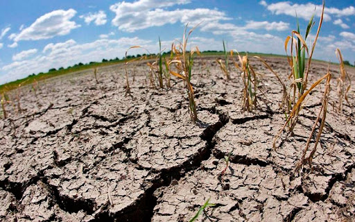 WFP: Fenómeno El Niño e inseguridad agravaron crisis alimentaria en Latinoamérica
