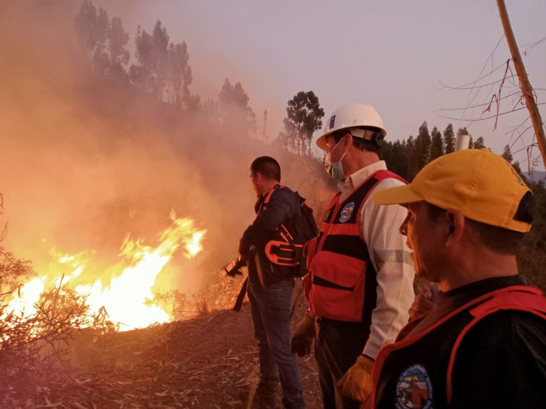 Grupo de Expertos en Fuegos Forestales de Latinoamérica y el Caribe se reunió en Lima para analizar mejores tácticas ante los incendios