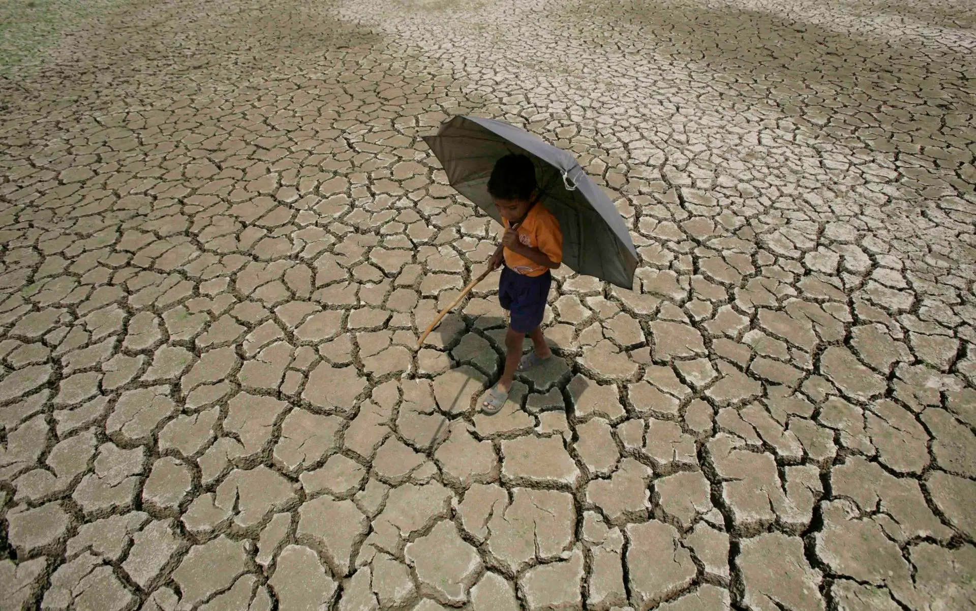 PMA Latinoamérica alerta del efecto del cambio climático en estados insulares y pide más fondos