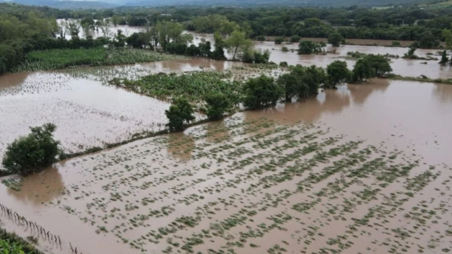 FAO insta a tomar previsiones ante llegada de La Niña en América Latina