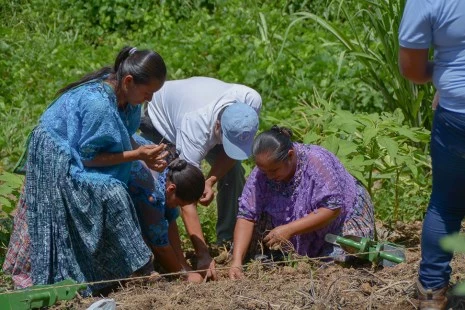 FAO, ONU Mujeres y UNFPA destacan el papel crucial de las mujeres rurales en la sostenibilidad de los sistemas agroalimentarios en América Latina y el Caribe