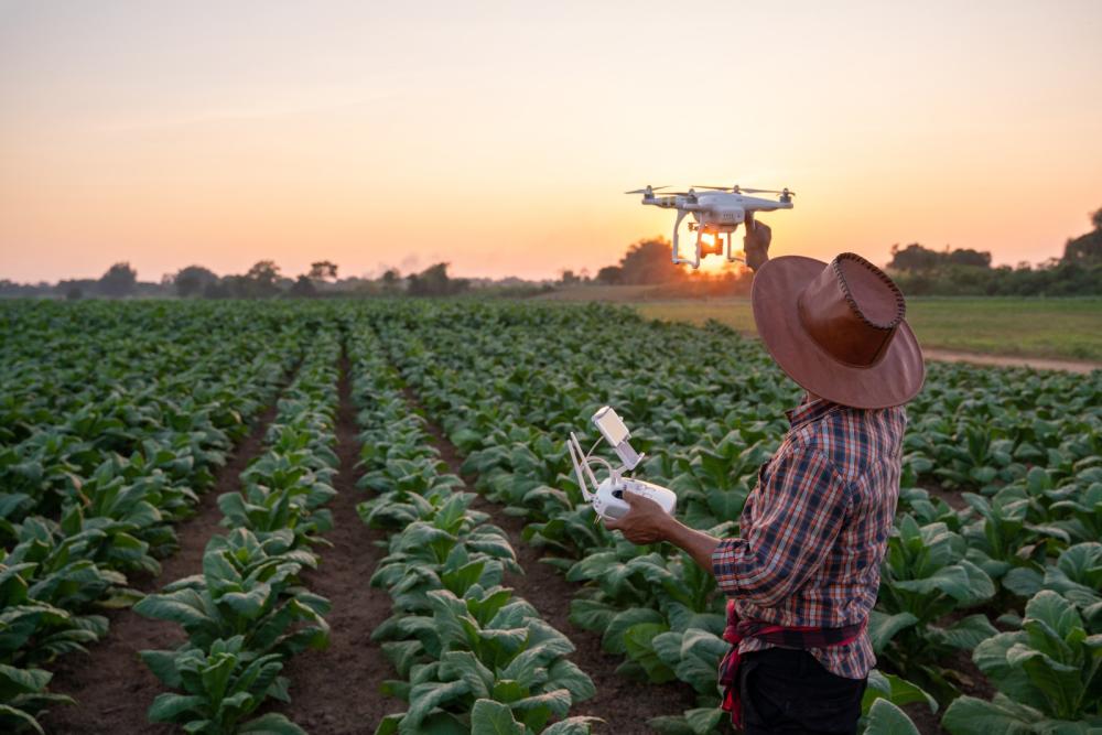 Estudio del IICA destaca las oportunidades de incorporar la tecnología a la agricultura