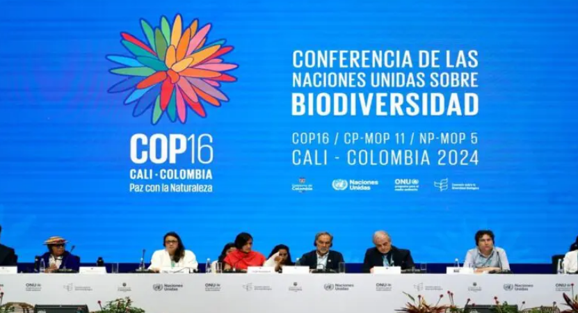 COP16 aprueba acuerdo para resguardar áreas marinas de importancia ecológica