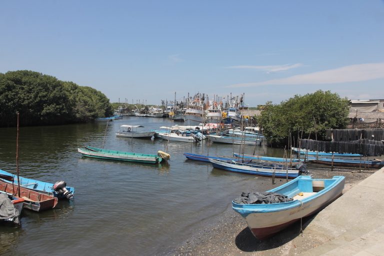 Delfines del Golfo de Guayaquil. El golfo de Guayaquil es la zona más productiva en la costa de Ecuador. Aquí se asienta el 90 % de la industria camaronera y se realiza la mayoría de la pesca industrial costera. Fotografía de Fernando Félix.