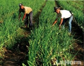 América Latina Busca Un Plan Para Recuperar Los Suelos