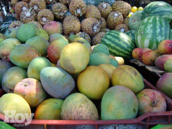 Barbados _mangos