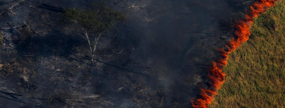 Brasil Ambiente