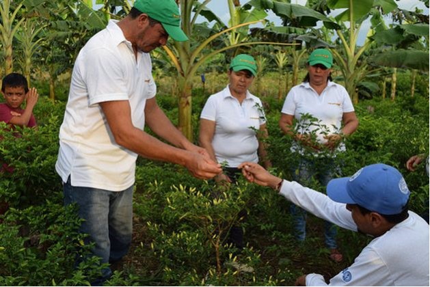 Colombia -fao -1_20170621