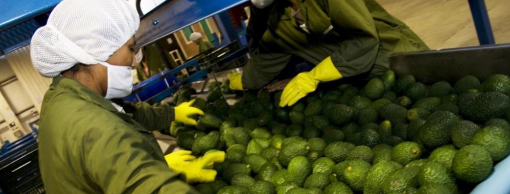 Exportacionesperuanas