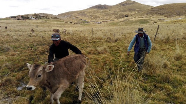 Foro Parlamentario Trazará Nuevas Metas Contra El Hambre