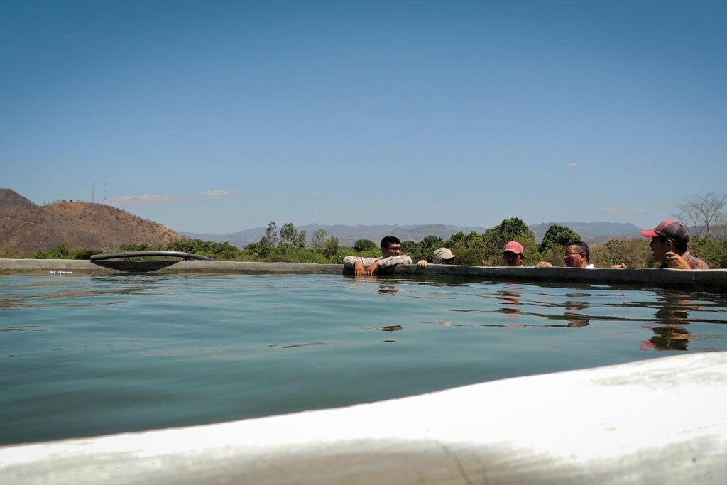 La FAO colabora desde hace tiempo en proyectos para aumentar la capacidad de los agricultores del corredor seco de Centroamérica, como este sistema de riego.