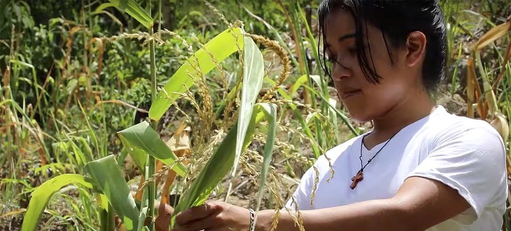 Cientos de miles de mujeres en edad reproductiva se ven impedidas de acceder a la planificación familiar debido a las sequías, las inundaciones y otros extremos climáticos que además ponen en peligro el acceso a los alimentos y los medios de vida.