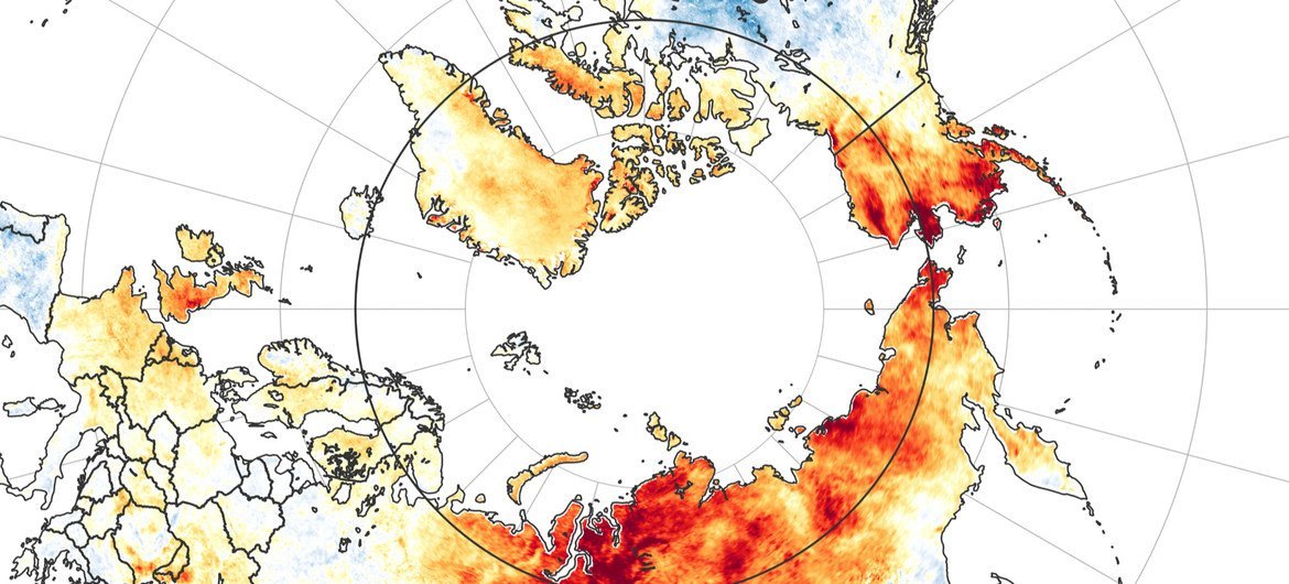 Las temperaturas de Siberia en junio de 2020 fueron las más cálidas en casi 20 años. 