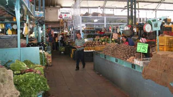 Mercado _fao