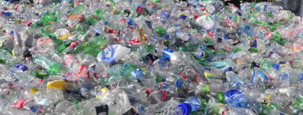 Pet Plasticos Contenedores Distribuidos