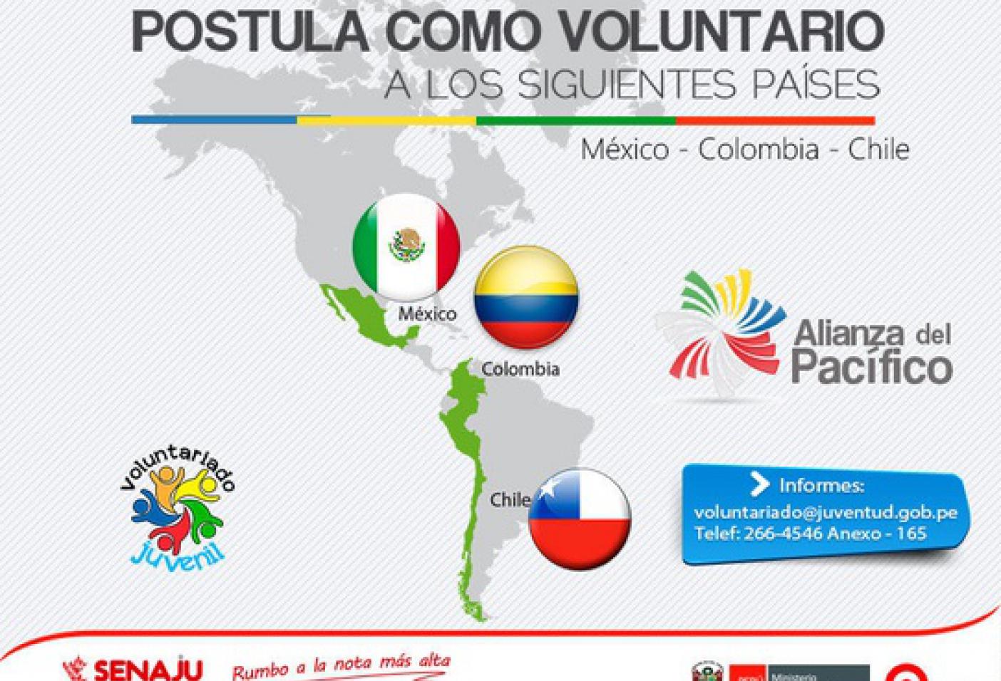 Voluntario _ap